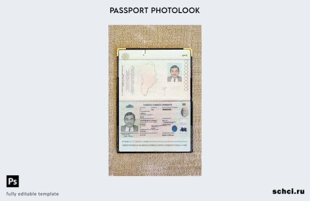 цифровая загрузка шаблона фотоизображения для паспорта Дании